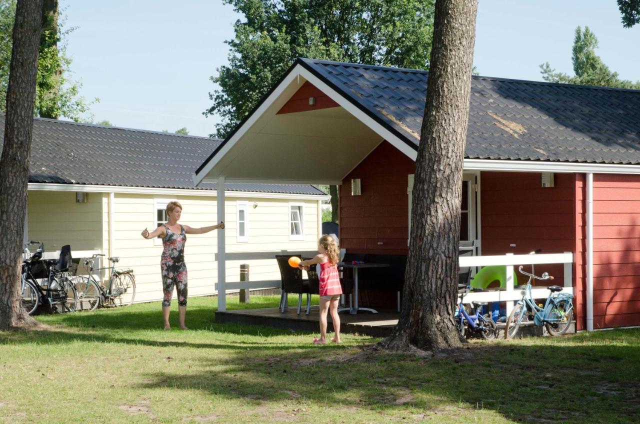 Lodge 6 Personen Camping De Molenhof Reutum Zewnętrze zdjęcie