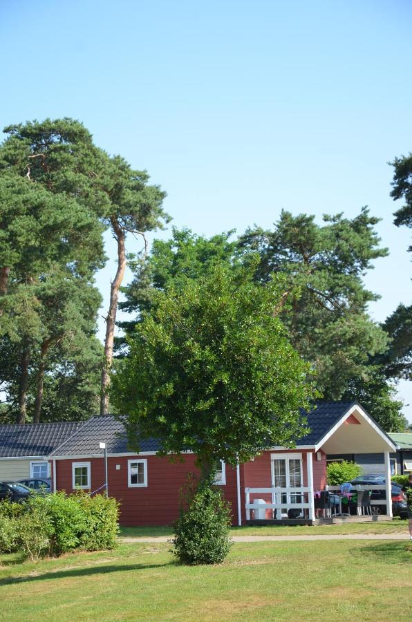 Lodge 6 Personen Camping De Molenhof Reutum Zewnętrze zdjęcie